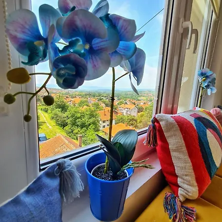 아파트 Berlin 소코 반자