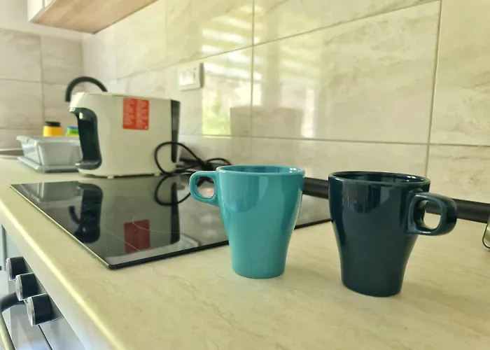 Berlin סוקו בניה